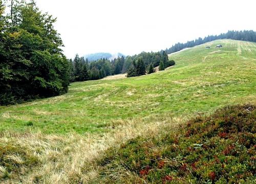 Czyste góry 21