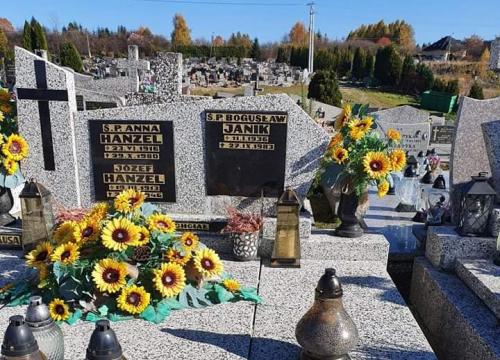 Znicz 21