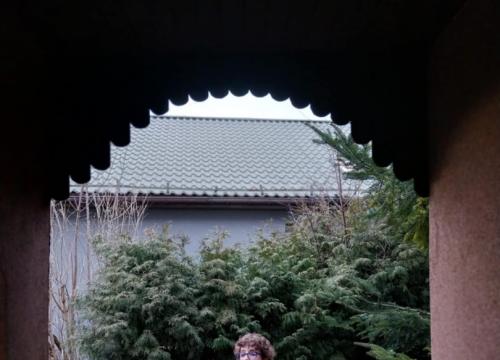 foto-art